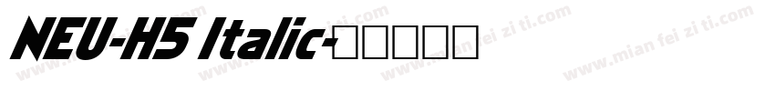 NEU-H5 Italic字体转换